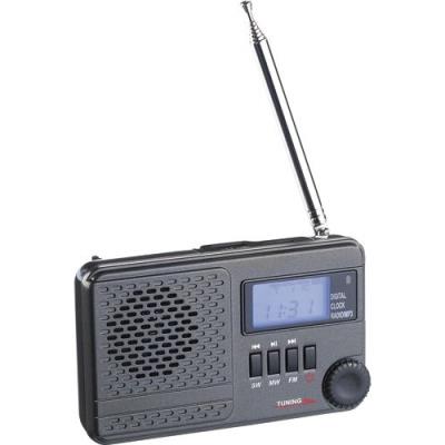 Récepteur radio mondial ''WWR-100.mp3''