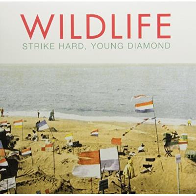 Strike Hard Young Diamond (Vinyl)