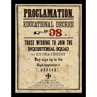 HARRY POTTER - Framed 30X40 Print - Educational Decree No. 98