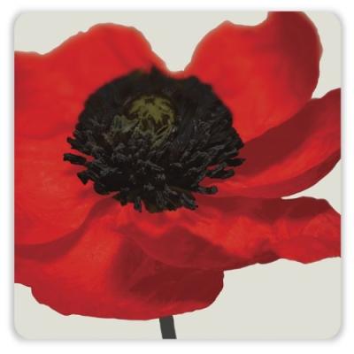 I STYLE MY HOME POPPY DESSOUS-DE-VERRES
