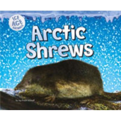 Arctic Shrews