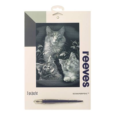 Reeves Griffoir Image Mini PPSFM14, Carton, Gravurfolie - Silber, 20 x 25 x 0,5 cm