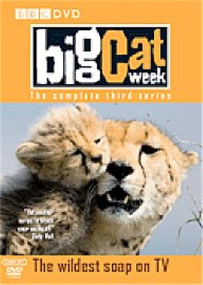Big Cat Week - Series 3