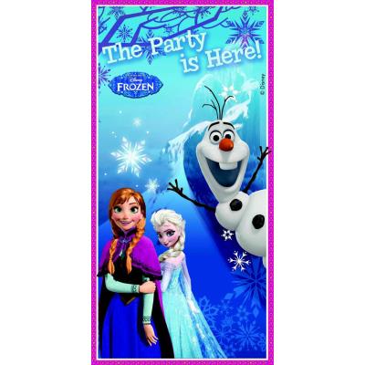 Décoration de porte La reine des neiges? taille unique