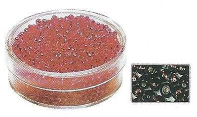 RAYHER Rocailles 2mm avec garniture argent - Brun fonc&eacute; 