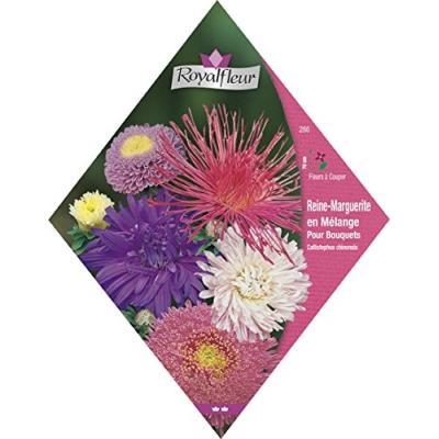 Royalfleur Pfrv00280 Graines De Reine Margot En Mélange Pour Bouquets