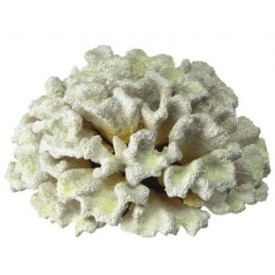 Comparer les prix de Décoration corail blanc en résine