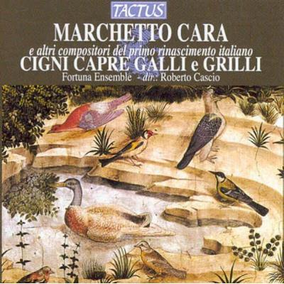 Cigni,Capre,Galli E Grilli