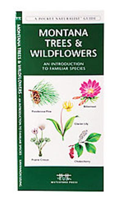 Montana Trees & Wildflowers, A   pocket naturalist guide