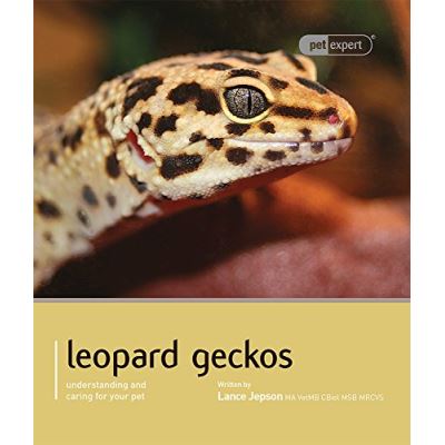 Leopard Gecko - Pet Expert: Understanding and Caring for Your Pet