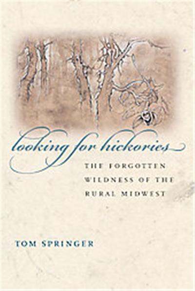 Looking for Hickories