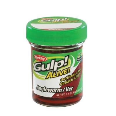 Berkley gulp alive petits vers de terre vivants rouge twin pack
