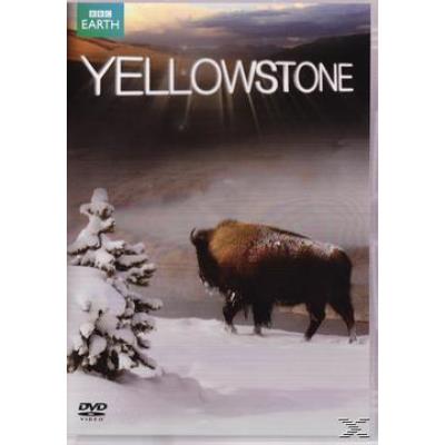 Yellowstone - Tales From The Wild