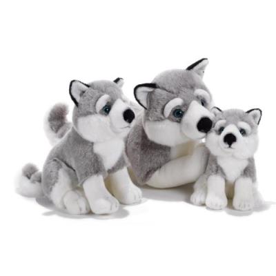 Plush&company - 15753 - peluche - tomsky husky de sibérie - 29 cm