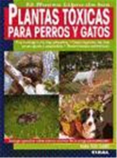 Plantas tóxicas para perros y gatos