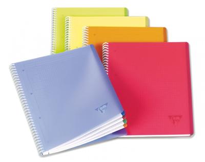 Linicolor Cahier Reliure Intégrale 24x32 100  pages  Q5x5 Assorti