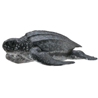 Figurine tortue luth figurines collecta
