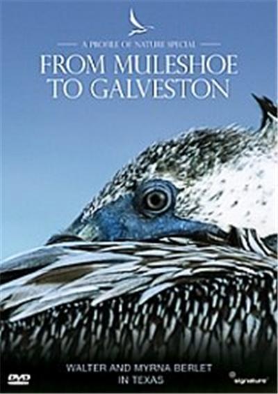 Profiles Of Nature - From Muleshoe To Galveston