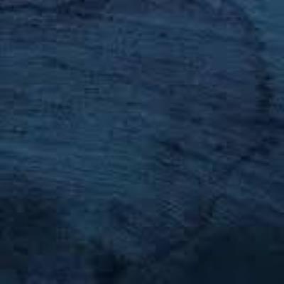Aquatic System - Multicast Dynamics