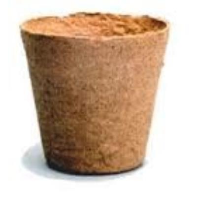 Jiffy Lot De 100 Cache-Pot En Fibre De Coco 8 Cm