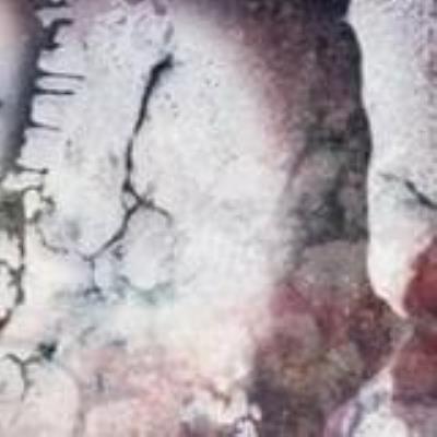 Outer Envelopes - Multicast Dynamics