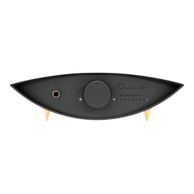 Korg DS-DAC-100 - geluidskaart