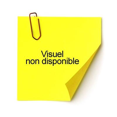 Trieur HARMONIKA® à fenêtres avec élastiques Nature Future carte lustrée 7 compartiments Bleu