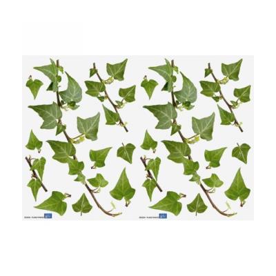 Lierres Stickers Muraux 2 Planches 21X29.7Cm Fdri