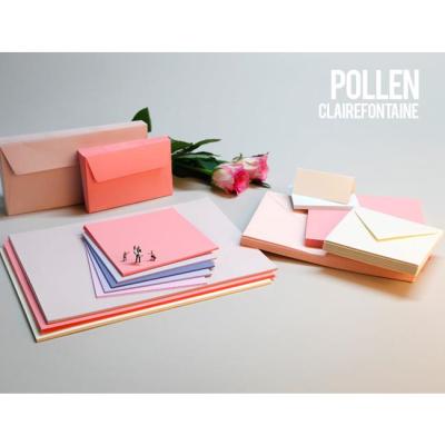 Pollen Etui de 25 Feuilles 210x297 litchi 210g