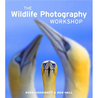 Wildlife Photography Workshop, The