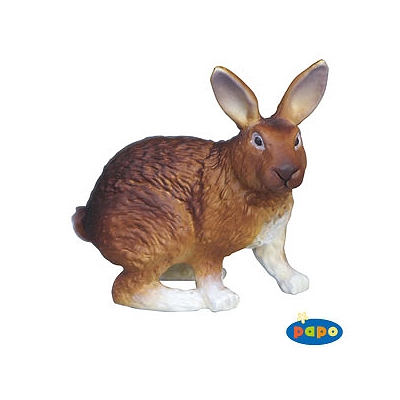 Lapin marron