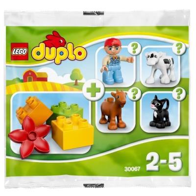 LEGO DUPLO 30067 Farm V29