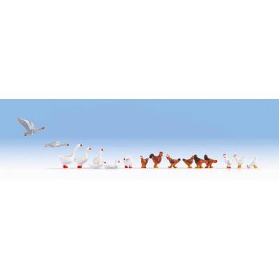 Poules et oies