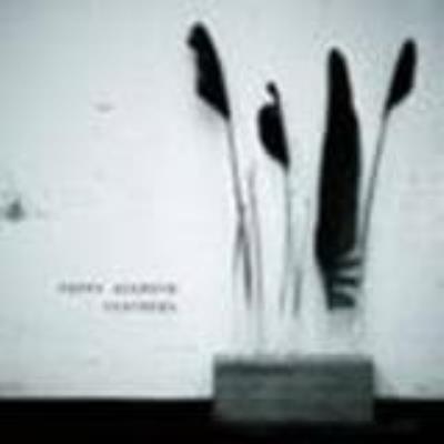 Feathers - Ackroyd, Poppy