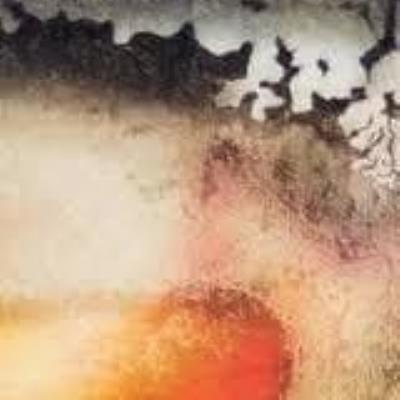 Scape - Multicast Dynamics