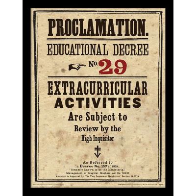 HARRY POTTER - Framed 30X40 Print - Educational Decree No. 29
