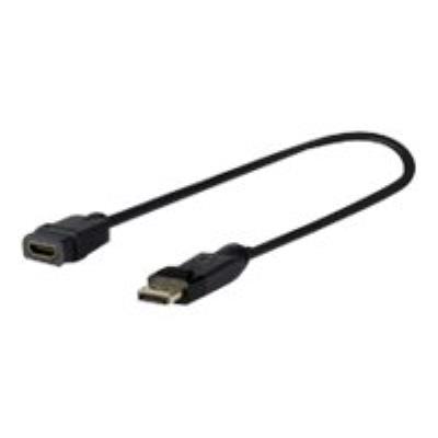 VivoLink Pro HDMI-adapter - DisplayPort / HDMI