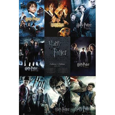 Poster Harry Potter : + un joli emballage cadeau