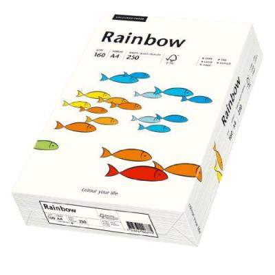 Papyrus 88042234 / Rainbow Papier multifonctions Format A4 160 g/m Blanc naturel 250 feuilles Import Allemagne