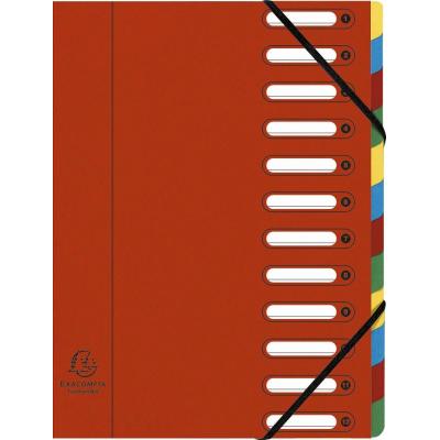Trieur HARMONIKA® à fenêtres avec élastiques Nature Future carte lustrée 12 compartiments Bleu