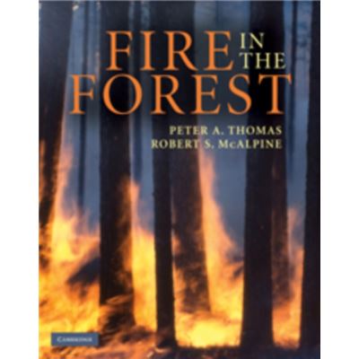 Fire In The Forest (Hardcover)