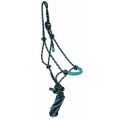 Licol Et Longe Éthologique Noir Et Turquoise Mélangé