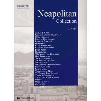 Partitions variété, pop, rock... VOLONTE&CO NEAPOLITAN COLLECTION 25 SONGS - PVG Piano voix guitare