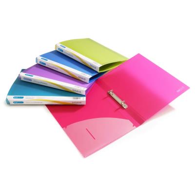 Rapesco Pqt de 10 Classeurs 2 Anneaux 25mm A4 couleurs vives transparentes - vue 2
