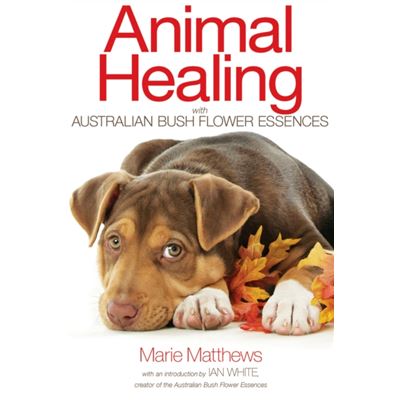 Animal Healing With Australian Bush Flower Essences: (Paperback)