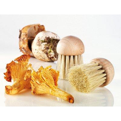 Brosse à champignon