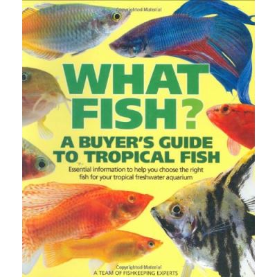 What Fish?