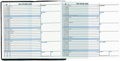 QUO VADIS Agenda mensuel de poche Minibest  Impala noir extra plat 2010 