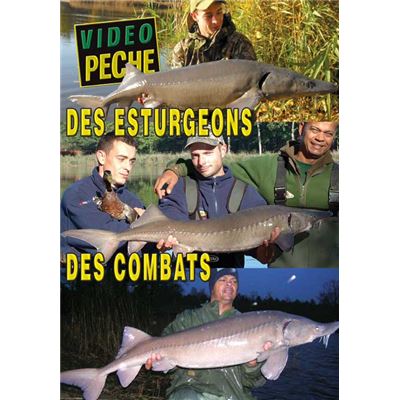 Des esturgeons, des combats - Pêche de la carpe - Vidéo Pêche