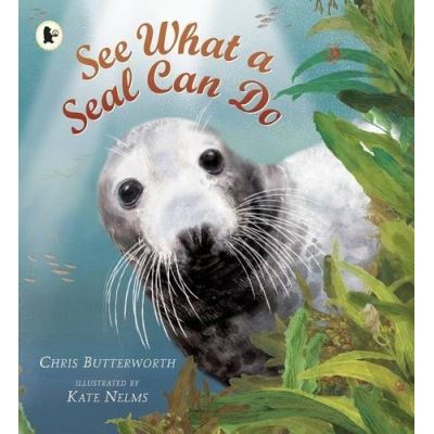 See What A Seal Can Do Chris Butterworth